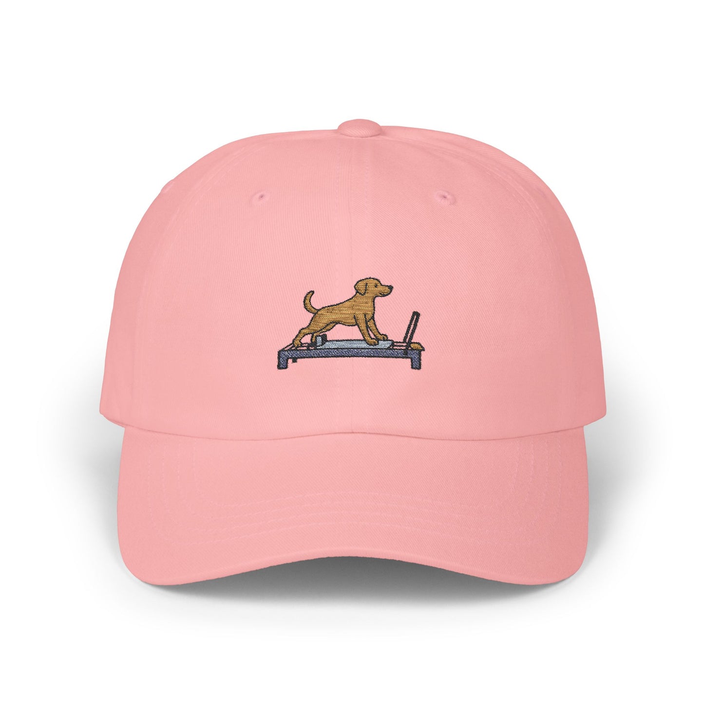 Embroidered Dog  Cap